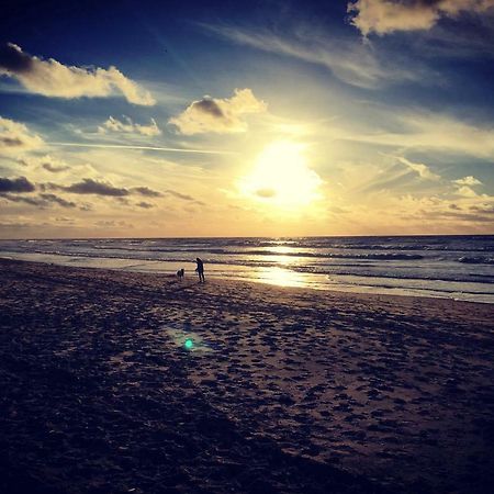 Zeestraat Apartment Zandvoort Dış mekan fotoğraf